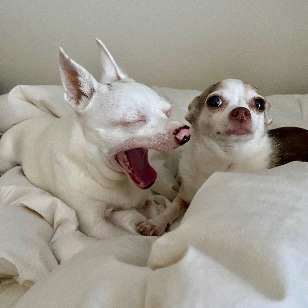 Meet your Posher, Jenna